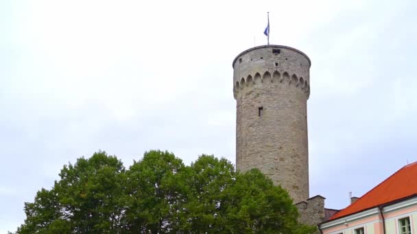 Edificio Del Parlamento Estonia Castillo Toompea — Vídeos de Stock