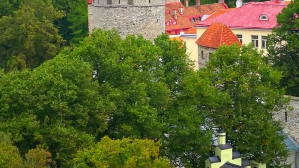 Defensieve Muren Gebouwd Rond Tallinn Estland — Stockvideo
