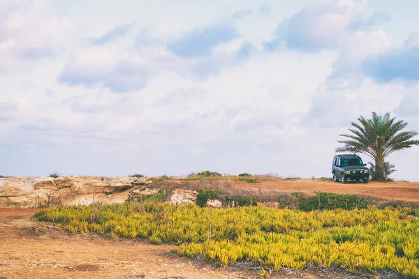 Imagem do carro SUV debaixo da palmeira no deserto . — Fotografia de Stock