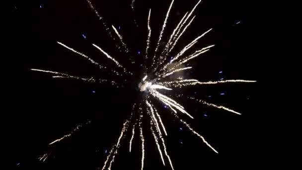 Fuegos Artificiales Cielo Celebración Del Año Nuevo Chino — Vídeos de Stock