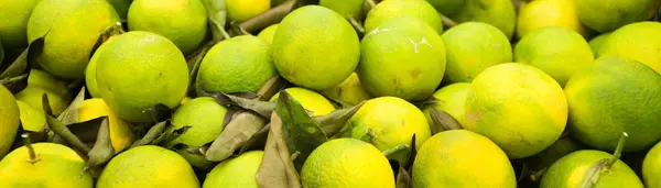 Close-up view of organic limes. Suitable for background. — Stock Photo, Image