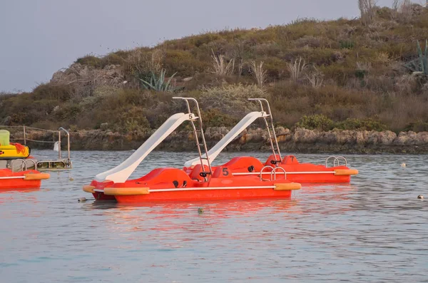 Kıbrıs Rum Kesimi 'nin Nissi plajındaki sahil sınırı yakınındaki pedal botları.