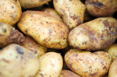 Süpermarkette organik patateslerin yakın çekim görüntüsü.