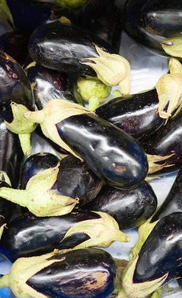 Close Zicht Biologische Aubergines Supermarkt — Stockfoto