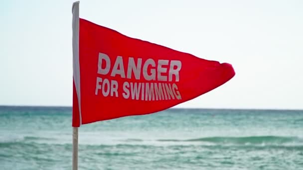 Danger Swimming Red Flag Beach — Stock Video