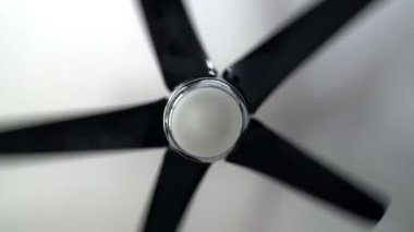 Dairede dönen tavan vantilatörü.