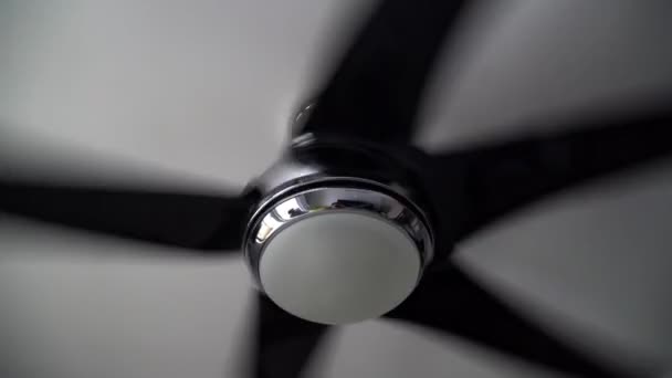 Rotating Ceiling Fan Apartment — Stock Video