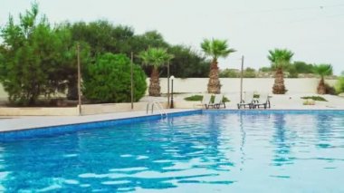 Palmiye ağaçları ve güneşli yataklarla yüzme havuzu..