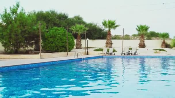 Piscine avec palmiers et chaises longues à l'extérieur .