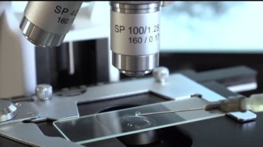 Virologlar Coronavirus aşısını test eden eldiven verdiler..
