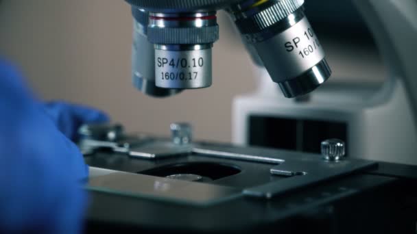 Microscópio Laboratório Com Vidro Amostra — Vídeo de Stock