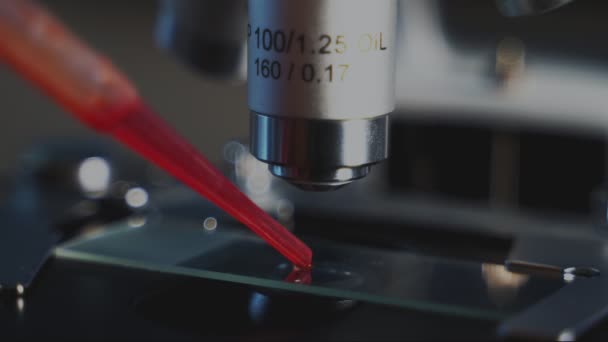 Εργαστηριακό Μικροσκόπιο Δείγμα Αίματος — Αρχείο Βίντεο