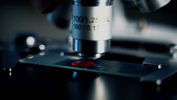 Microscópio Laboratorial Com Amostra Sangue — Vídeo de Stock