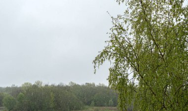 Yaz mevsiminde ani kar yağışı.