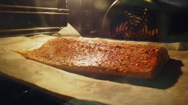 红鱼片在烤箱里烹调 — 图库视频影像