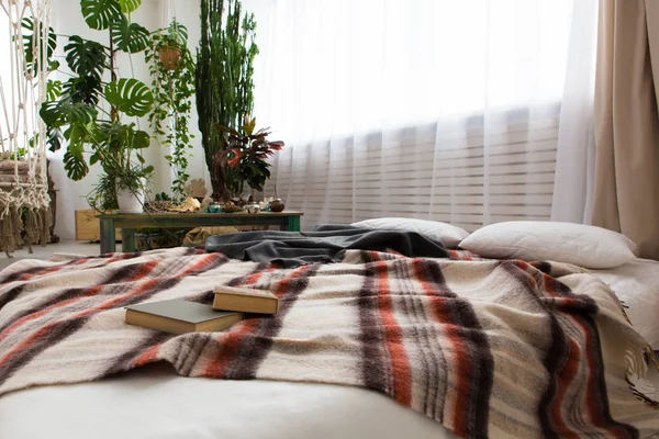 Інтер'єр сучасної квартири-студії з великою кількістю рослин і ліжком на підлозі — стокове фото