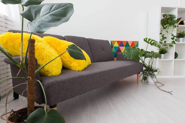 Сучасна квартира-студія з живими рослинами. яскраві кольори в інтер'єрі. сірий диван з жовтими подушками . — стокове фото