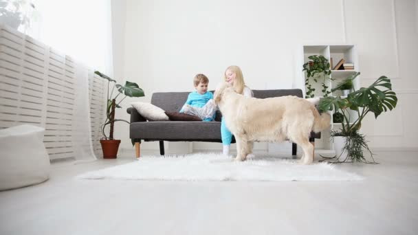 Vård för husdjur. barn stroke deras hund med kärlek i vardagsrummet. glada golden retriever i familjen. — Stockvideo