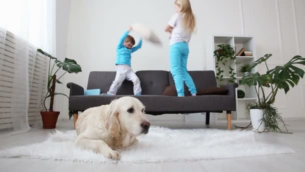 Fratello e sorella che giocano con i cuscini sul divano in soggiorno. il golden retriever giace sul pavimento. la vita degli animali domestici in famiglia. concentrarsi sul cane . — Video Stock