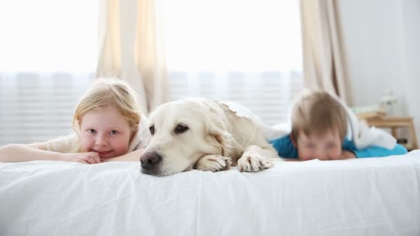 Leben von Haustieren in der Familie. Geschwisterchen liegen mit Hund auf dem Bett im Schlafzimmer. — Stockvideo