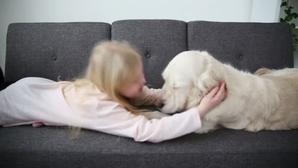 ペットが大好きです。リビング ルームでソファの上に彼女の犬と少女は休んでいます。. — ストック動画