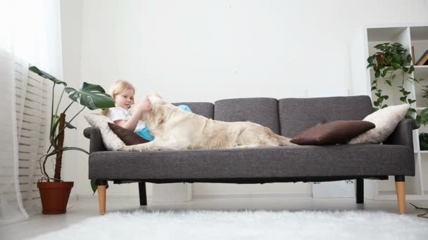 Турбота про домашніх тварин. Блондинка читає книгу, лежачи на дивані зі своїм собакою у вітальні. щасливий золотий ретривер в сім'ї . — стокове відео