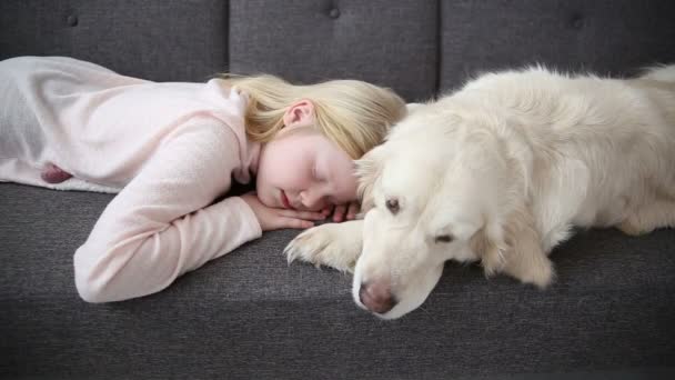 ペットが大好きです。リビング ルームでソファの上に彼女の犬と少女は休んでいます。. — ストック動画