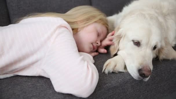 Amour pour les animaux domestiques. la petite fille se repose avec son chien sur le canapé dans le salon . — Video