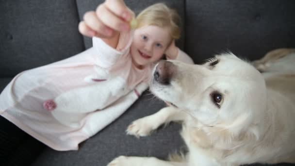 Kärlek för husdjur. den lilla flickan vilar med sin hund i soffan i vardagsrummet. — Stockvideo