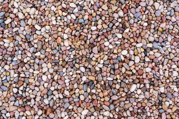 Różne kolorowe i gładkie otoczaki z plaży — Zdjęcie stockowe