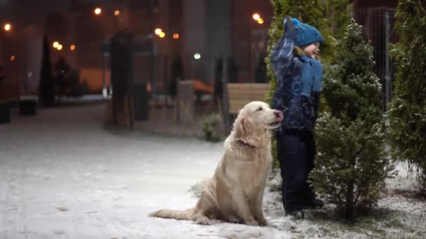 Belo vídeo em câmera lenta - pequeno garoto com seu cão alegremente sacude a neve de uma árvore de Natal nevada em um parque em uma noite de inverno — Vídeo de Stock