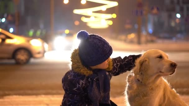 ペットへの愛夜の街で冬に犬を屋外で撫でる少年は — ストック動画