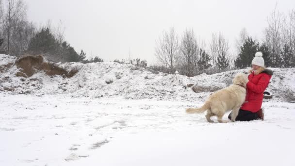 Belo vídeo em câmera lenta - mulher se divertindo com seu cão em uma pista de gelo no inverno — Vídeo de Stock