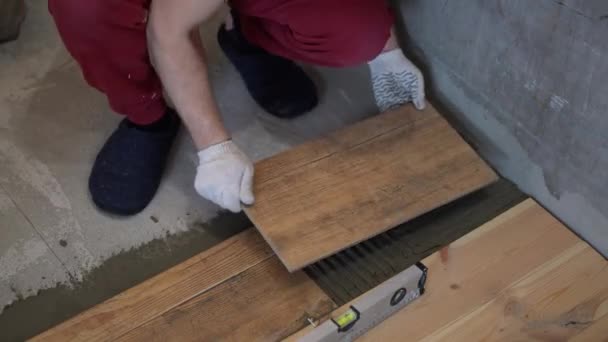 Reparatie en decoratie. de tegel zet de porseleinen tegels op de vloer in het appartement — Stockvideo