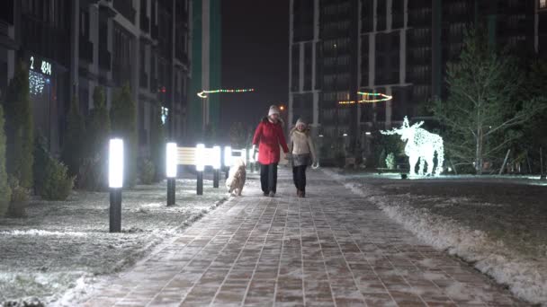 Мама, дочь и собака гуляют в зимнем парке — стоковое видео