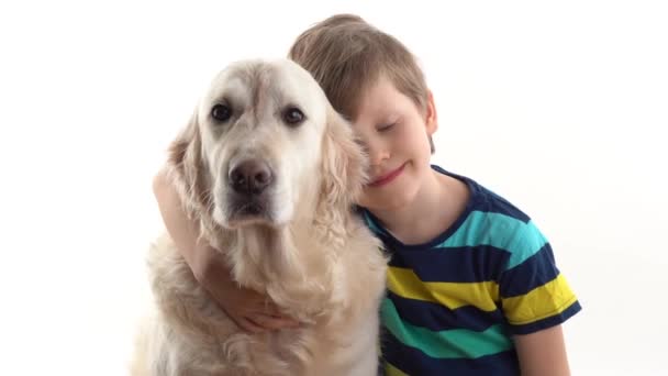 Pflege und Liebe für Haustiere. Kleiner Junge im Studio auf weißem Hintergrund posiert mit einem Golden Retriever großen Hund — Stockvideo