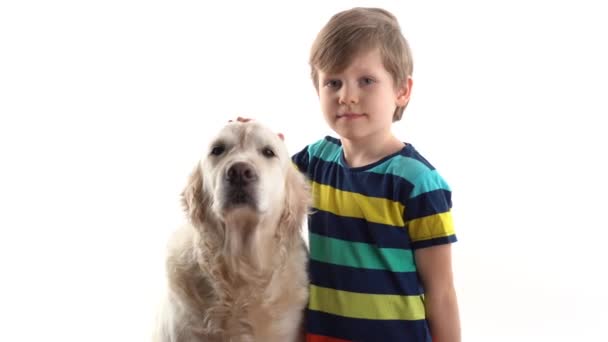Cuidado y amor por las mascotas. niño en el estudio sobre un fondo blanco posando con un perro grande golden retriever — Vídeo de stock