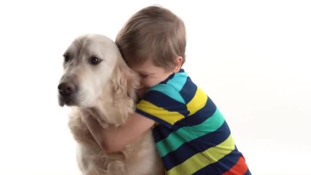 Cuidado e amor para animais de estimação. menino no estúdio em um fundo branco posando com um golden retriever cachorro grande — Vídeo de Stock