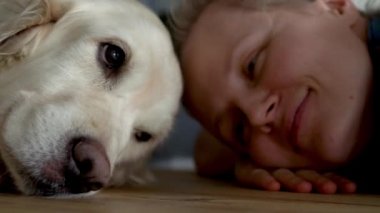 Evcil hayvan sevgisi. Yerde büyük, nazik bir köpek metresinin yanında dinleniyor. Yakın çekim.