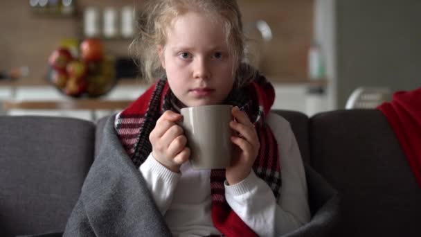 Portrait of a sick child in a scarf and plaid with a cup of hot tea on the sofa in the apartment — Stok video