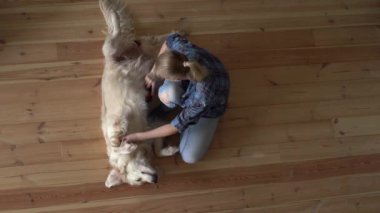Hayvan bakımı. Kadın evinde metal bir tarak ile büyük bir Golden Retriever köpeğini tarıyor. en üstteki görünüm