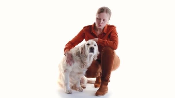 Αγάπη για τα κατοικίδια ζώα. πορτρέτο στούντιο μιας γυναίκας και golden retriever στο στούντιο σε λευκό φόντο. — Αρχείο Βίντεο
