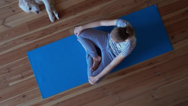 Stanna hemma. kvinna som gör yoga i vardagsrummet under karantän, en stor hund ligger i närheten. — Stockvideo