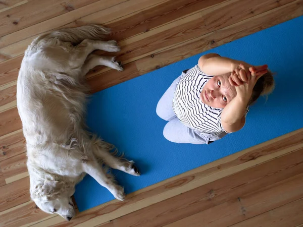 Zostań w domu. kobieta robi jogę w salonie podczas kwarantanny, duży pies leży w pobliżu. — Zdjęcie stockowe
