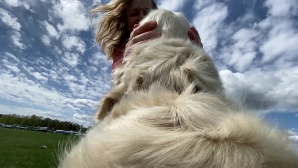 Dünya bir köpeğin gözleriyle. Golden Retriever yürüyüşe çıktı. Köpek bakış açısı, yavaş çekim videosu — Stok video