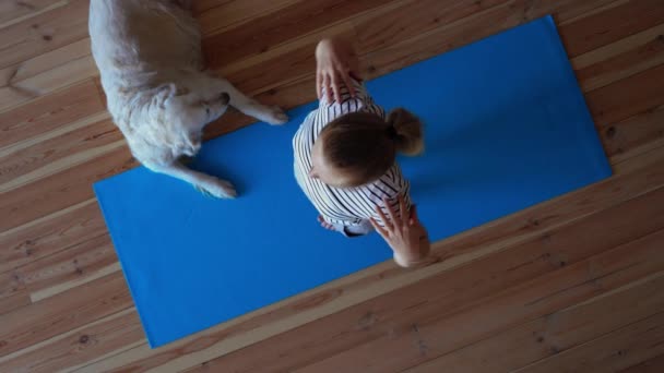 Quédate en casa. mujer haciendo yoga en la sala de estar durante la cuarentena, un perro grande está tirado cerca . — Vídeos de Stock