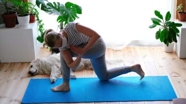Zůstaň doma. žena dělá jógu v obývacím pokoji během karantény, v blízkosti leží velký pes. — Stock video