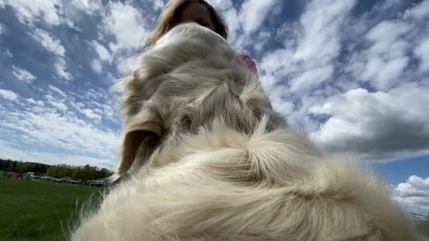 Ο κόσμος μέσα από τα μάτια ενός σκύλου. Γκόλντεν Ριτρίβερ για μια βόλτα. Οπτική άποψη σκύλου, βίντεο αργής κίνησης — Αρχείο Βίντεο