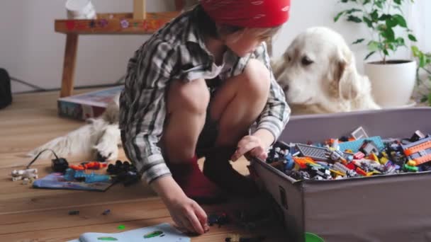 Amor por las mascotas. un niño recoge a un constructor, un perro blanco grande está tirado cerca . — Vídeos de Stock