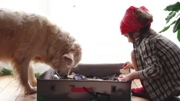 Video divertido. amor por las mascotas. un gran perro blanco ayuda a un niño a buscar detalles para un constructor lego . — Vídeos de Stock